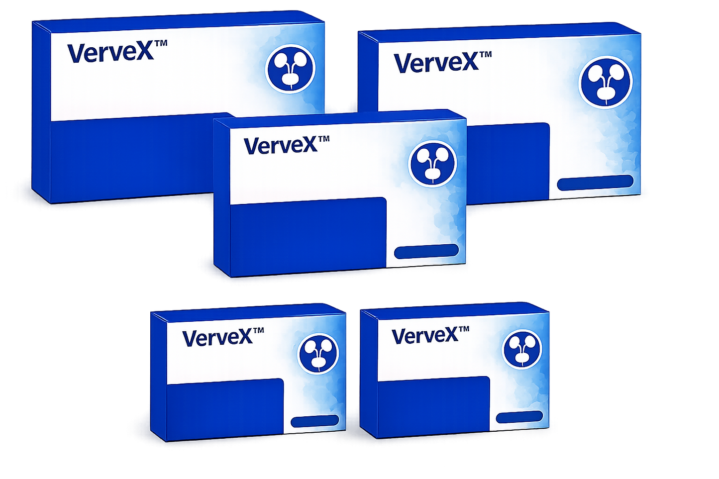 VerveX™